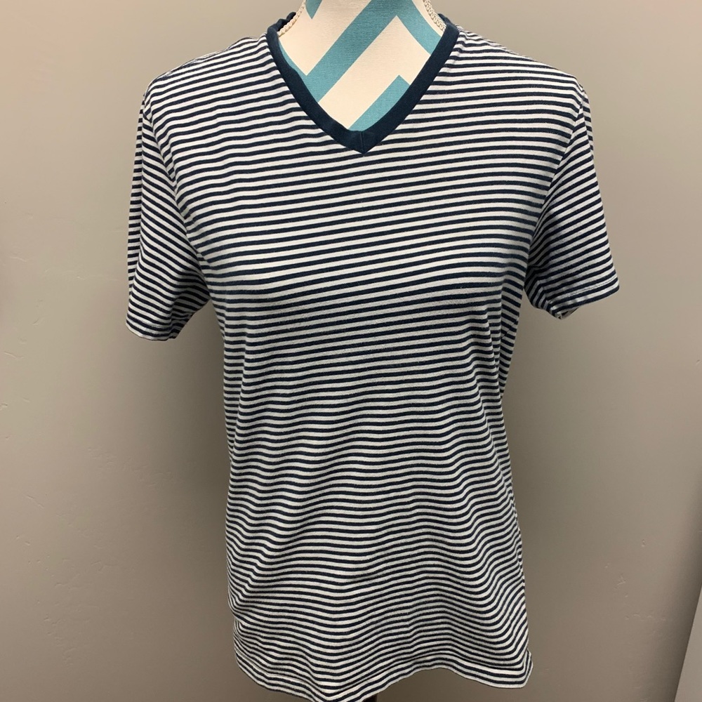 Express V-Neck Shirt